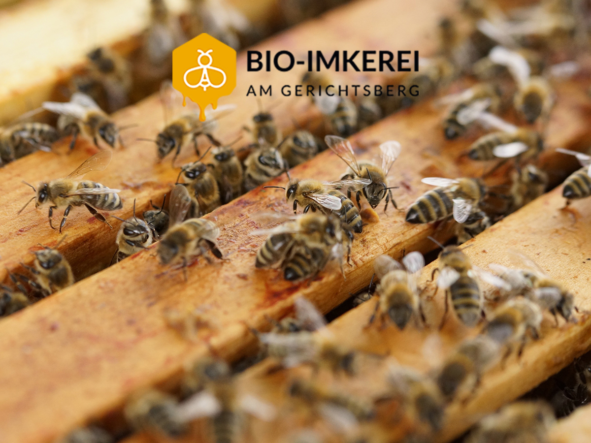 Unternehmen - Bio Imkerei am Gerichtsberg - Aus Liebe zur Natur - Bio-Imkerei am Gerichtsberg