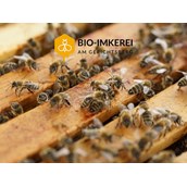 Unternehmen - Bio Imkerei am Gerichtsberg - Aus Liebe zur Natur - Bio-Imkerei am Gerichtsberg