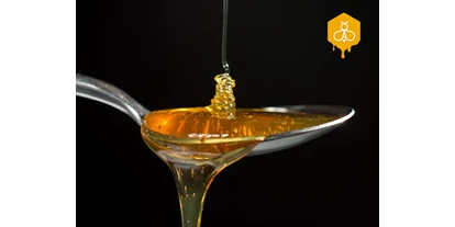 Händler - Art der erstellten Produkte: Getränke - Niederösterreich - Auf einem Löffel Honig steckt das Lebenswerk mehrerer hundert Bienen - und der Geschmack einer ganzen Landschaft - Bio-Imkerei am Gerichtsberg