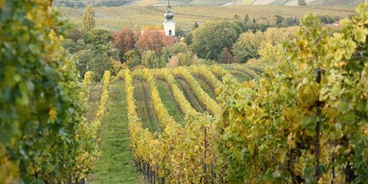 Händler - überwiegend regionale Produkte - Wildendürnbach - Bio Weinbau AMON