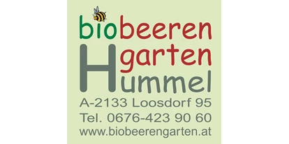Händler - Zahlungsmöglichkeiten: Kreditkarte - Wetzelsdorf (Poysdorf) - Biobeerengarten Hummel - Biobeerengarten Hummel