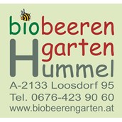 Unternehmen - Biobeerengarten Hummel - Biobeerengarten Hummel