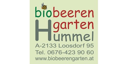 Händler - bevorzugter Kontakt: Online-Shop - Bezirk Mistelbach - Biobeerengarten Hummel - Biobeerengarten Hummel