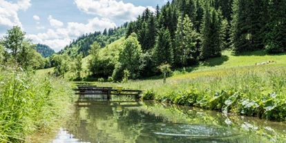 Händler - Art der Abholung: kontaktlose Übergabe - Ulreichsberg - Declevas Alpenfisch Mariazell