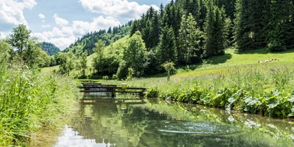 Händler - Gutscheinkauf möglich - Bergrotte - Declevas Alpenfisch Mariazell