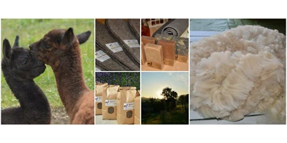 Händler - Produkt-Kategorie: Kleidung und Textil - Auhof (Pöggstall) - Faszination Alpaka - Urbach Alpakas