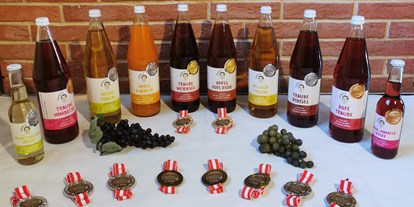 Händler - Art der erstellten Produkte: Getränke - Sooß (Sooß) - Ab-Hof-Messe Wieselburg 2022 - FRANZLS Fruchtsäfte