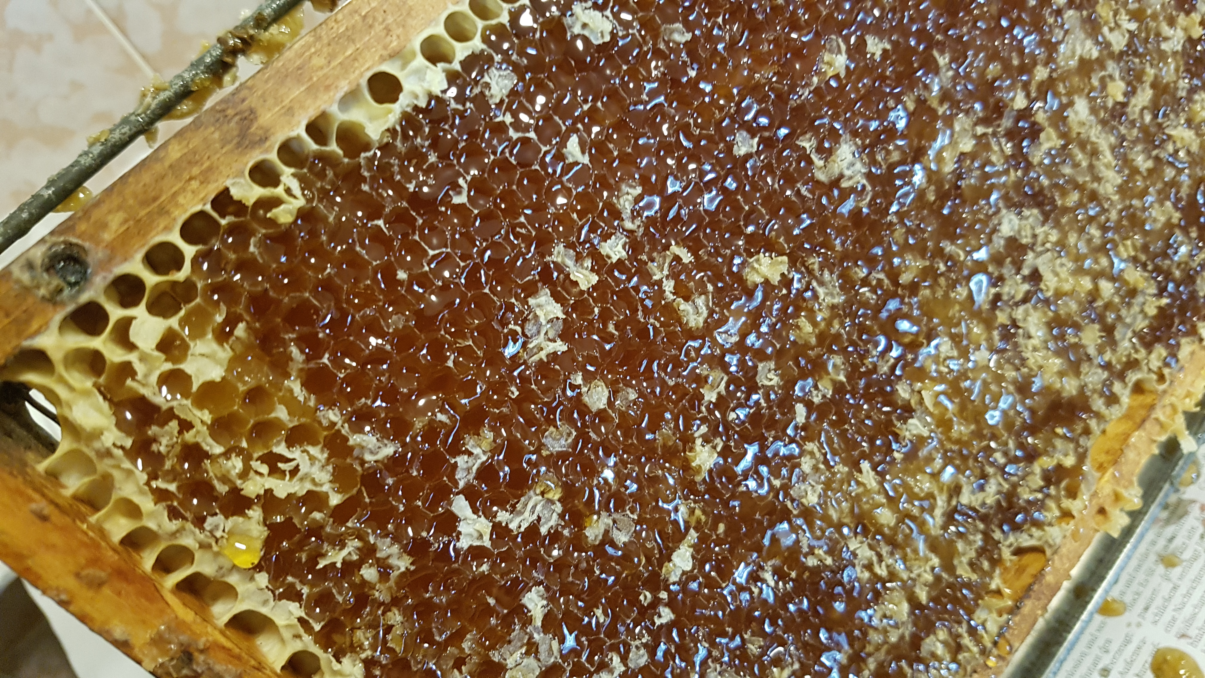 Unternehmen - Schöcklland Imkerei