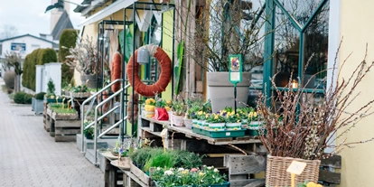Händler - überwiegend selbstgemachte Produkte - Streit (Nußdorf am Attersee) - Unser Blumen Laden in Vöcklamarkt  - Gärtnerei Thellmann 
