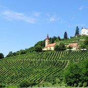 Unternehmen - Schloss Kapfenstein und Weingut Winkler-Hermaden - Weingut Winkler-Hermaden