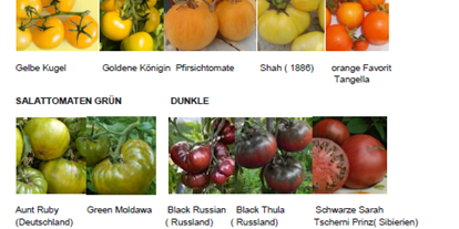 Händler - PLZ 7212 (Österreich) - Tomatensorten aus aller Welt - Tomatensorten aus aller WElt
