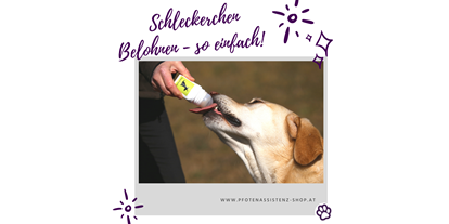 Händler - digitale Lieferung: Beratung via Video-Telefonie - Wiederschwing (Stockenboi) - Fachhandel für Hunde - pfotenassistenz.at