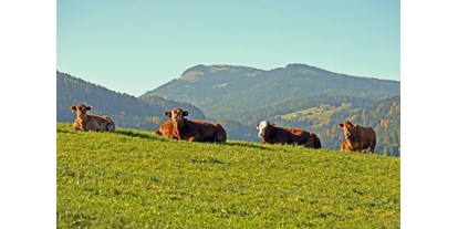 Händler - bevorzugter Kontakt: per E-Mail (Anfrage) - PLZ 8523 (Österreich) - Bio Bauernhof Fam. Freydl