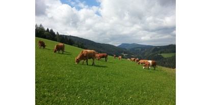 Händler - Grünau an der Laßnitz - Bio Bauernhof Fam. Freydl