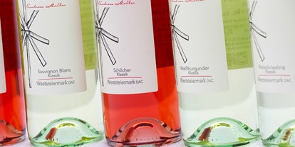 Händler - bevorzugter Kontakt: Online-Shop - Sausal (Sankt Andrä-Höch, Gleinstätten) - Weingut Wiedersilli