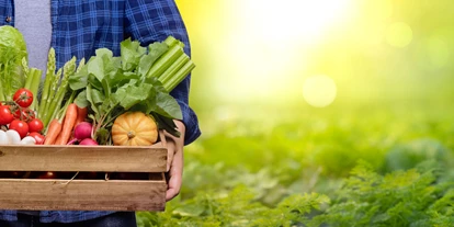 Händler - überwiegend regionale Produkte - Magland - Gemüsehof Zotter