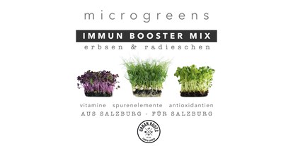 Händler - Produkt-Kategorie: Agrargüter - Wimmsiedlung - Urban Roots Salzburg
