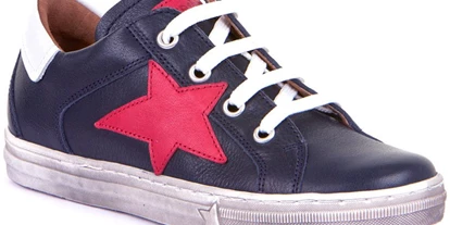 Händler - Produkt-Kategorie: Schuhe und Lederwaren - Einwald - Froddo Kinder-Sneaker - Flux Online Schuhe & Acc. - www.kinderschuhe.com