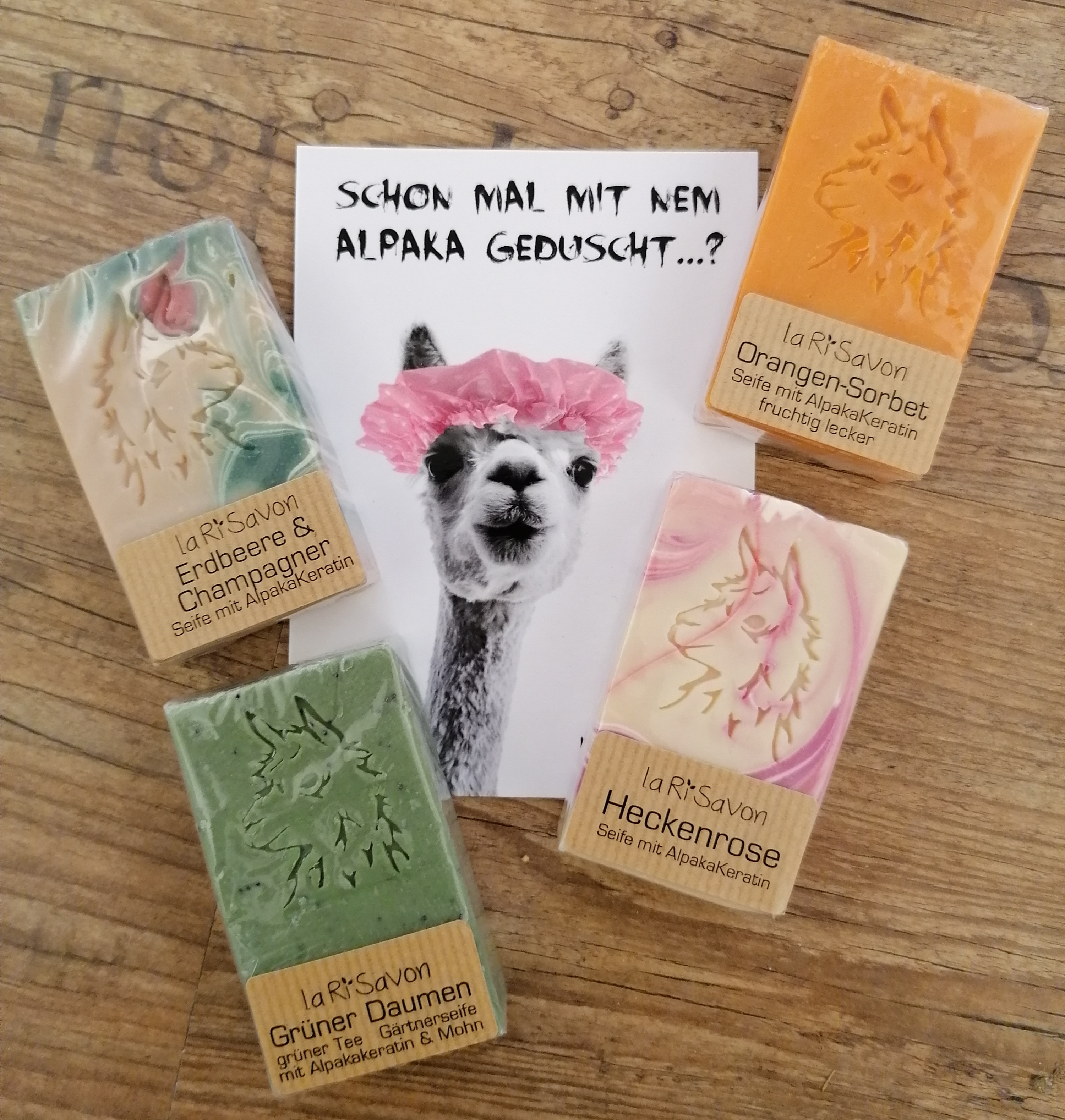 Unternehmen - Alpakas und Lamas zum Grünen See