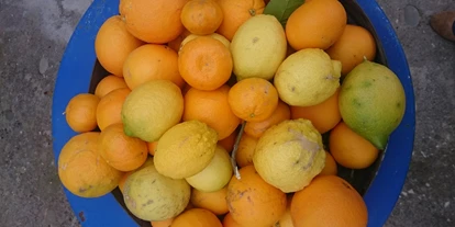 Händler - überwiegend Bio Produkte - Mühl - vollreife unbehandelte Orangen und Zitronen - die Basis für Elitsa's Fruchtaufstriche - EliTsa e.U. 