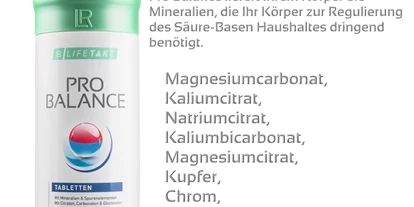 Händler - überwiegend Bio Produkte - Gundendorf - ProBalance - Huber Daniel