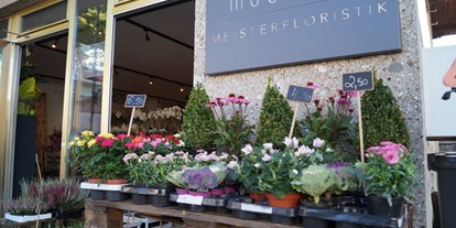 Händler - Produkt-Kategorie: Möbel und Deko - Köstendorf Pifuß - Blumenmädchen Meisterfloristik 