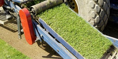 Händler - überwiegend Fairtrade Produkte - Völkermarkt - Ernte des Rollrasens - Sofortgrün - Echter Kärntner Rollrasen