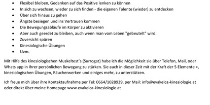 Händler - bevorzugter Kontakt: per E-Mail (Anfrage) - Mühlreith (Vöcklamarkt) - Eva Kelca Kinesiologie und Lernberatung