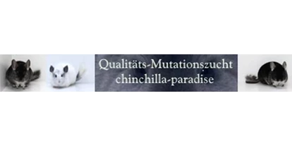 Händler - PLZ 5161 (Österreich) - Chinchilla Paradise Shop