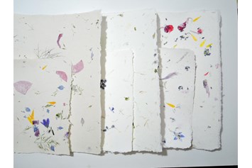 Unternehmen: Ein Potpourri mit verschiedenen Sommerblüten, Frühlingsblüten und Wiesenblüten. Jedes Blatt stellt ein Unikat dar. Da sich die Blüten beim Schöpfvorgang unterschiedlich verteilen.  - PAPIER-art ART-papier