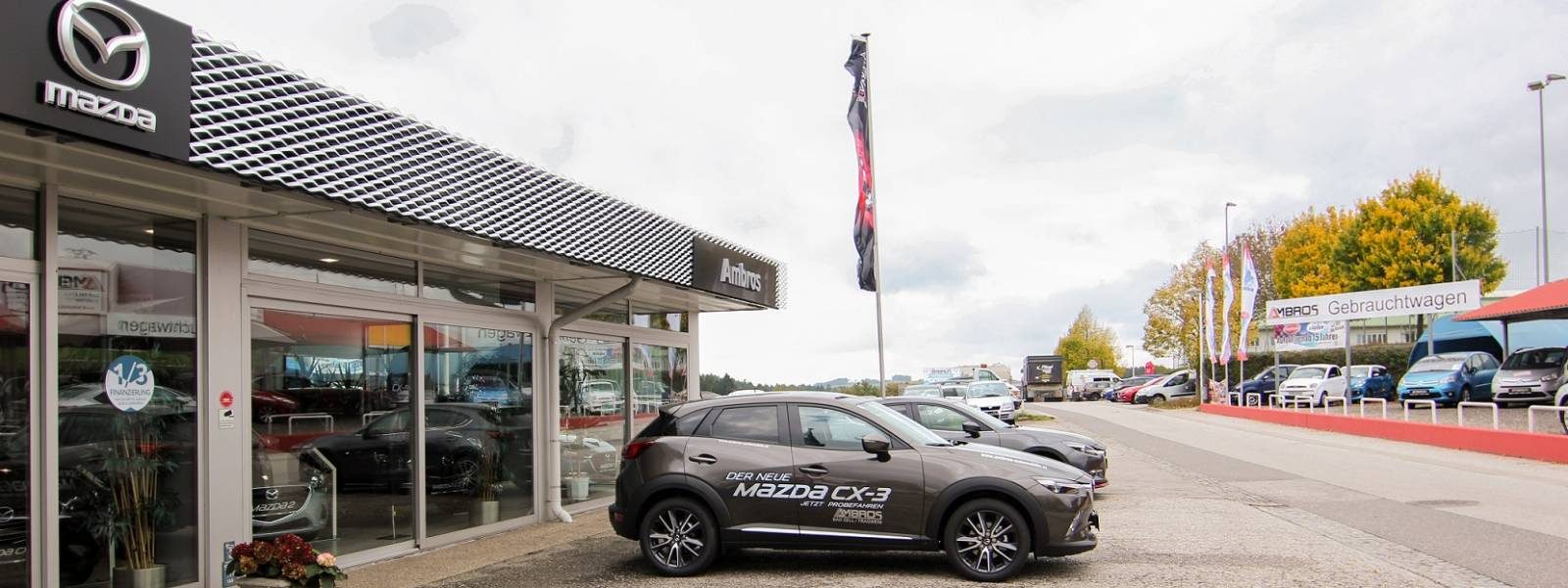 Unternehmen: Ambros Automobile GmbH