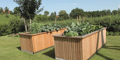 Händler - überwiegend regionale Produkte - Traunviertel - Hochbeet Elise vom Hochbeet-Hans - Hochbeet-Hans