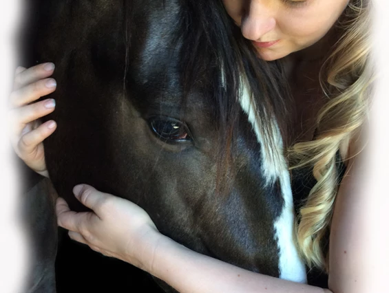 Unternehmen: Aus Liebe zum Pferd, aus Überzeugung besser! - NATÜRLICH PFERD - Katrin Skaletz e.U.