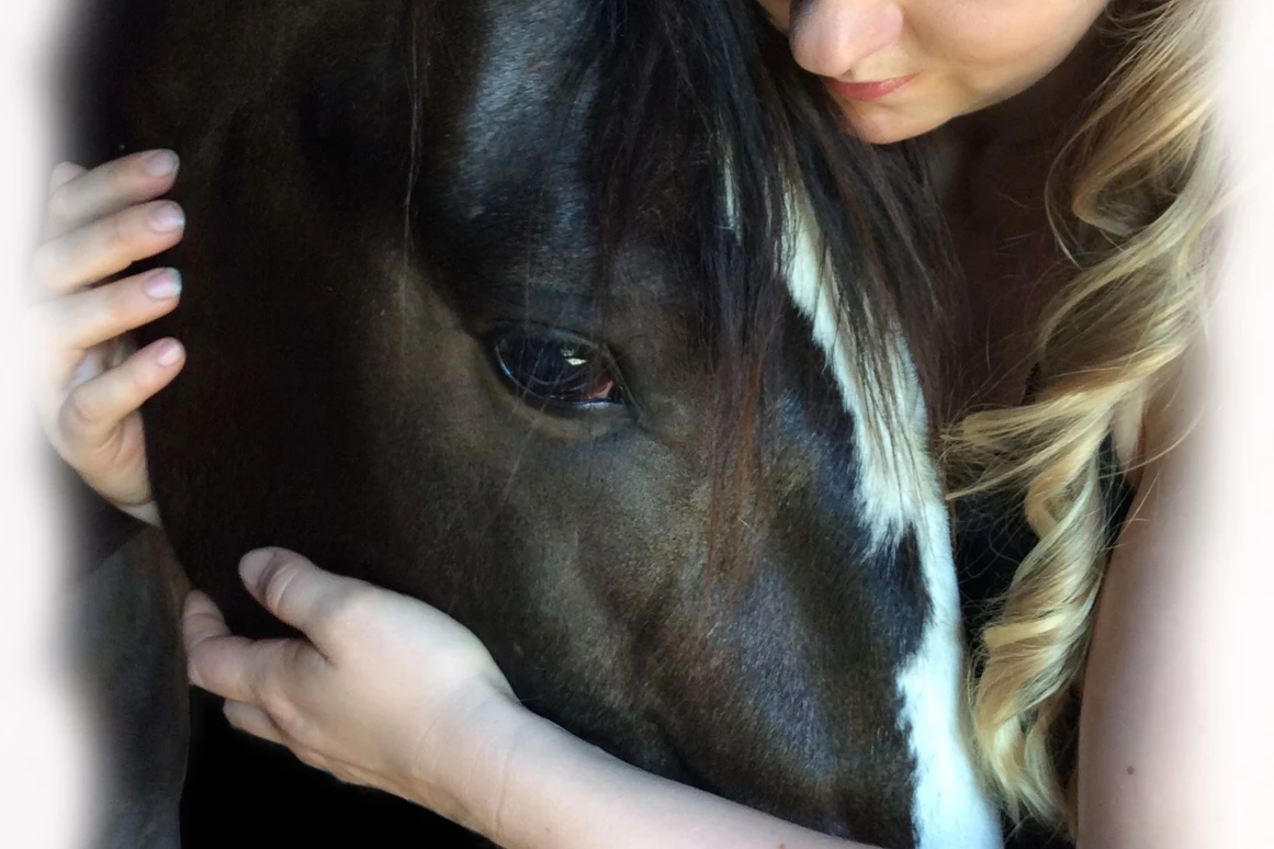 Unternehmen: Aus Liebe zum Pferd, aus Überzeugung besser! - NATÜRLICH PFERD - Katrin Skaletz e.U.