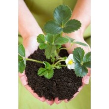 Händler - PLZ 2000 (Österreich) - VERMIGRAND Naturprodukte GmbH