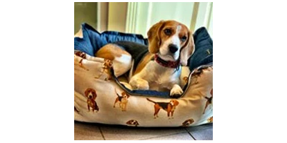Händler - Wien-Stadt Wien - exklusives Hundebett - Heimtier-Treff