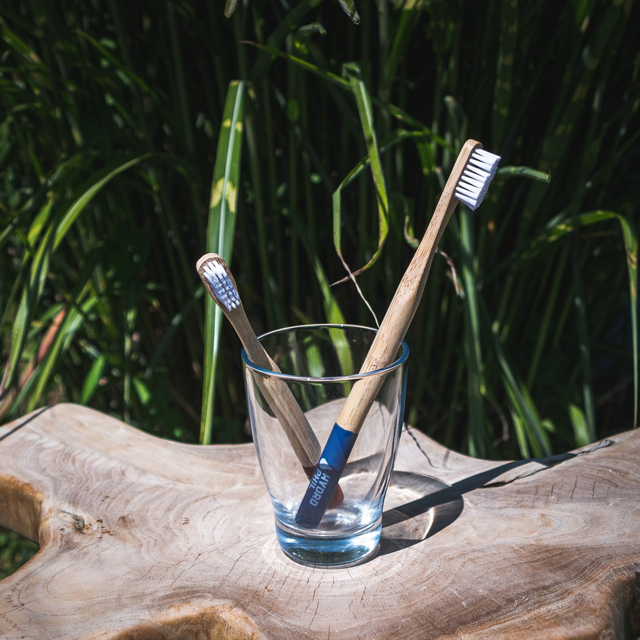 Blattwende Produkt-Beispiele Nachhaltige Bambuszahnbürste 