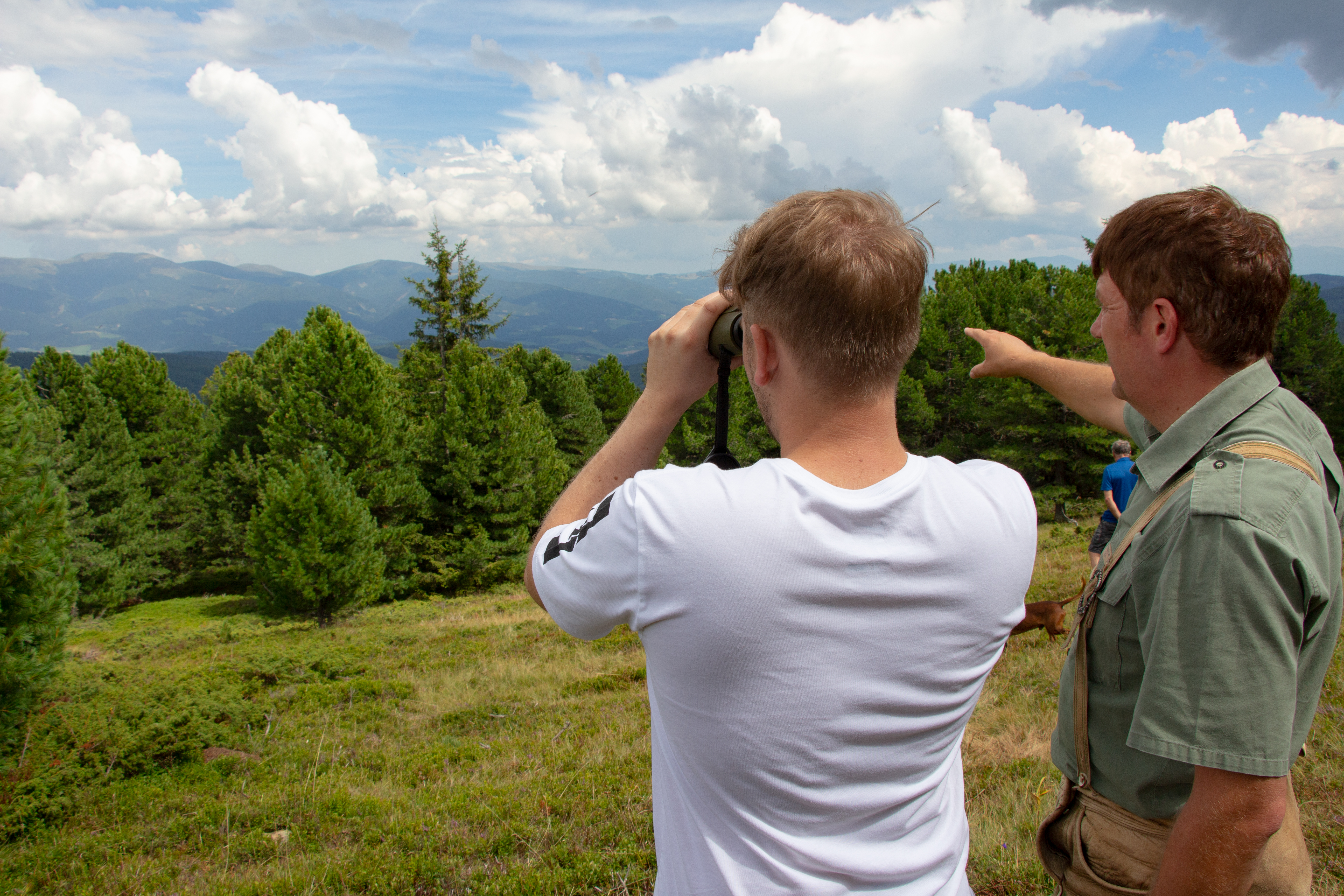 Händler - Bezirk Klagenfurt - KISSEN1 Zirbenprodukte GmbH