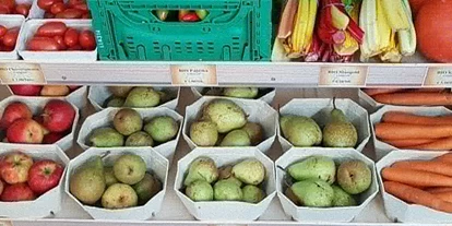 Händler - Klagenfurt - MiniBiomarkt
24/7 Selbstbedienungsladen in der Kohldorfer Strasse 100, 9020 Klagenufrt - ErdenGold KG