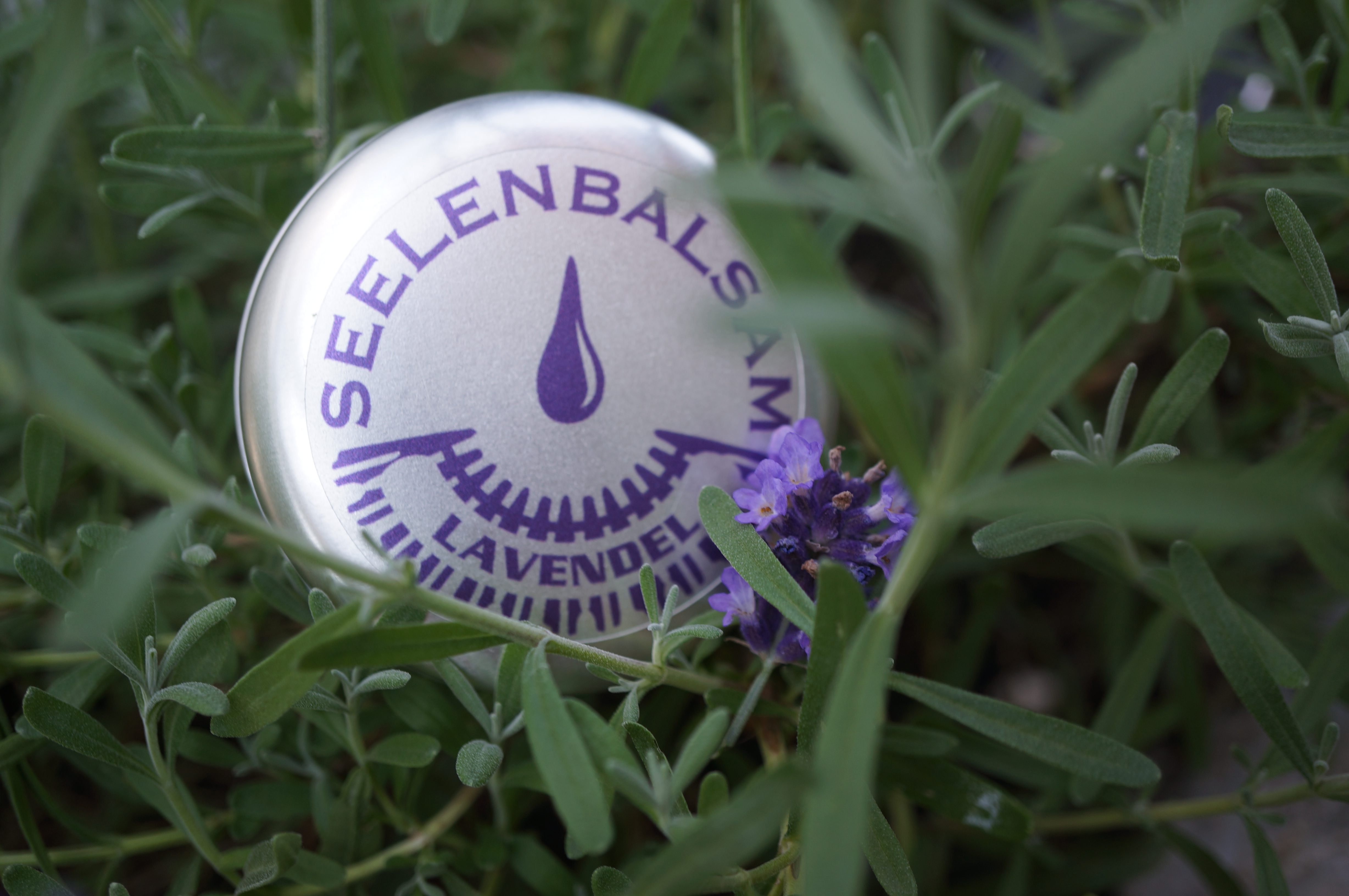 Seelenbalsam  die innovative Frischekosmetik Produkt-Beispiele Balsame