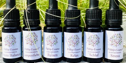 Händler - Industrieviertel - Fülöp-Essenzen®