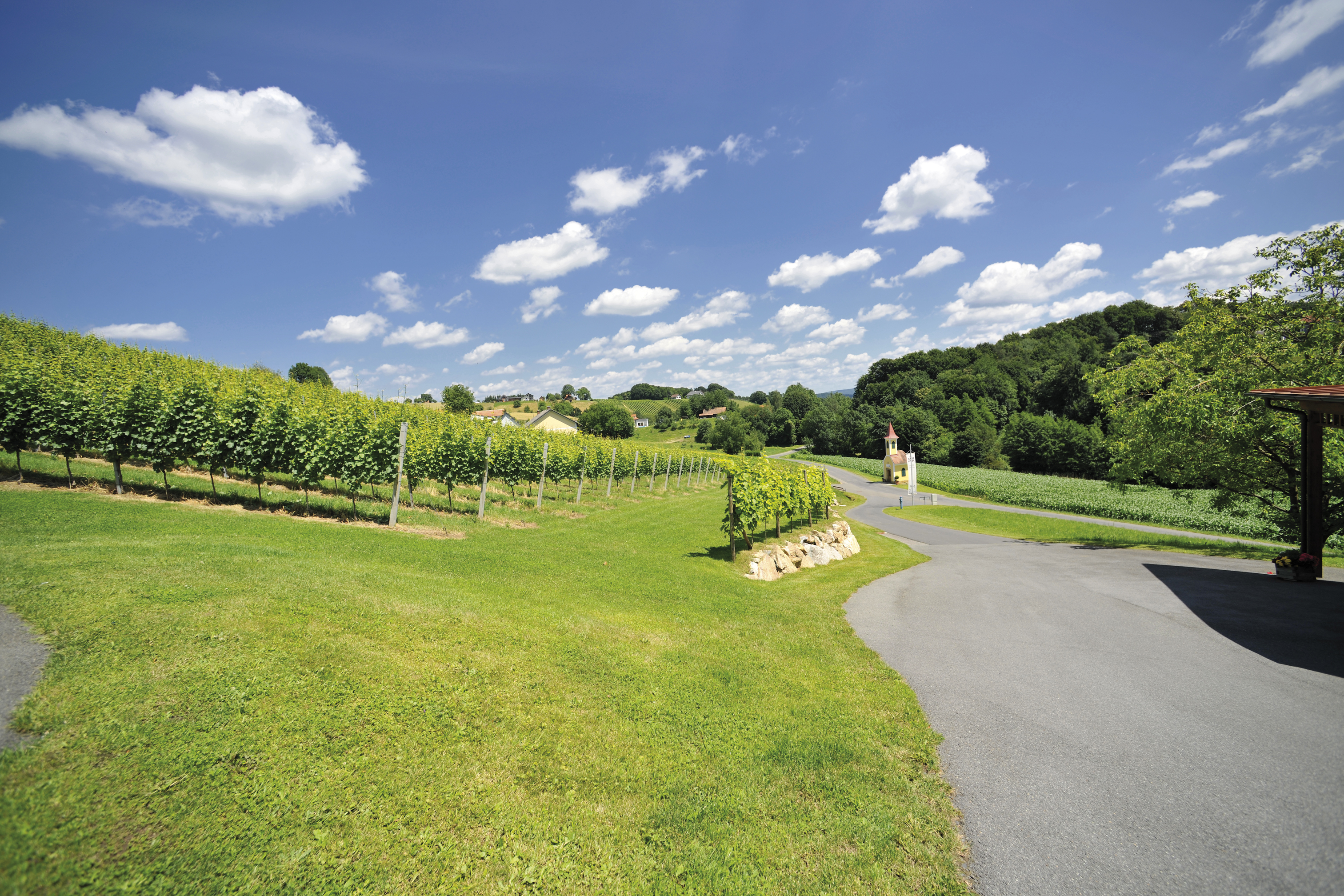 Händler - Bezirk Südoststeiermark - Weingut Rossmann