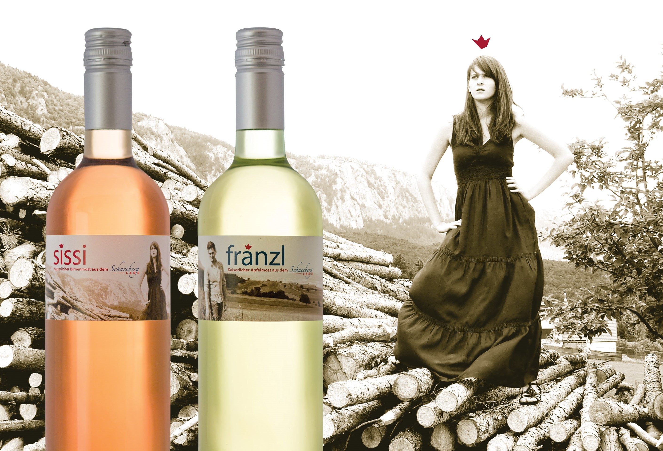 Mohr-Sederl Fruchtwelt GmbH Produkt-Beispiele Moste