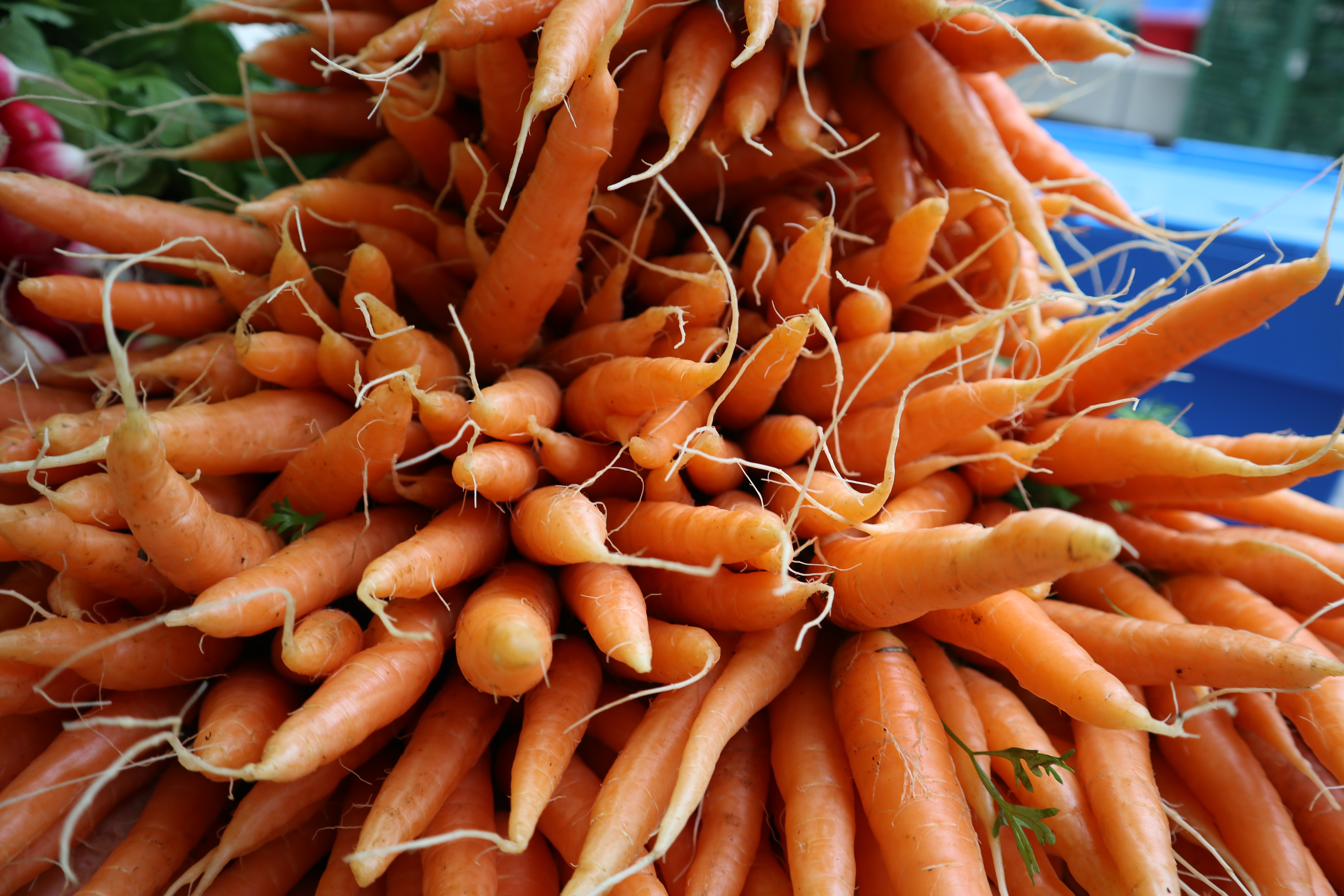 Händler - Neumarkt am Wallersee - Zuckersüße Bundkarotten - Lielonhof