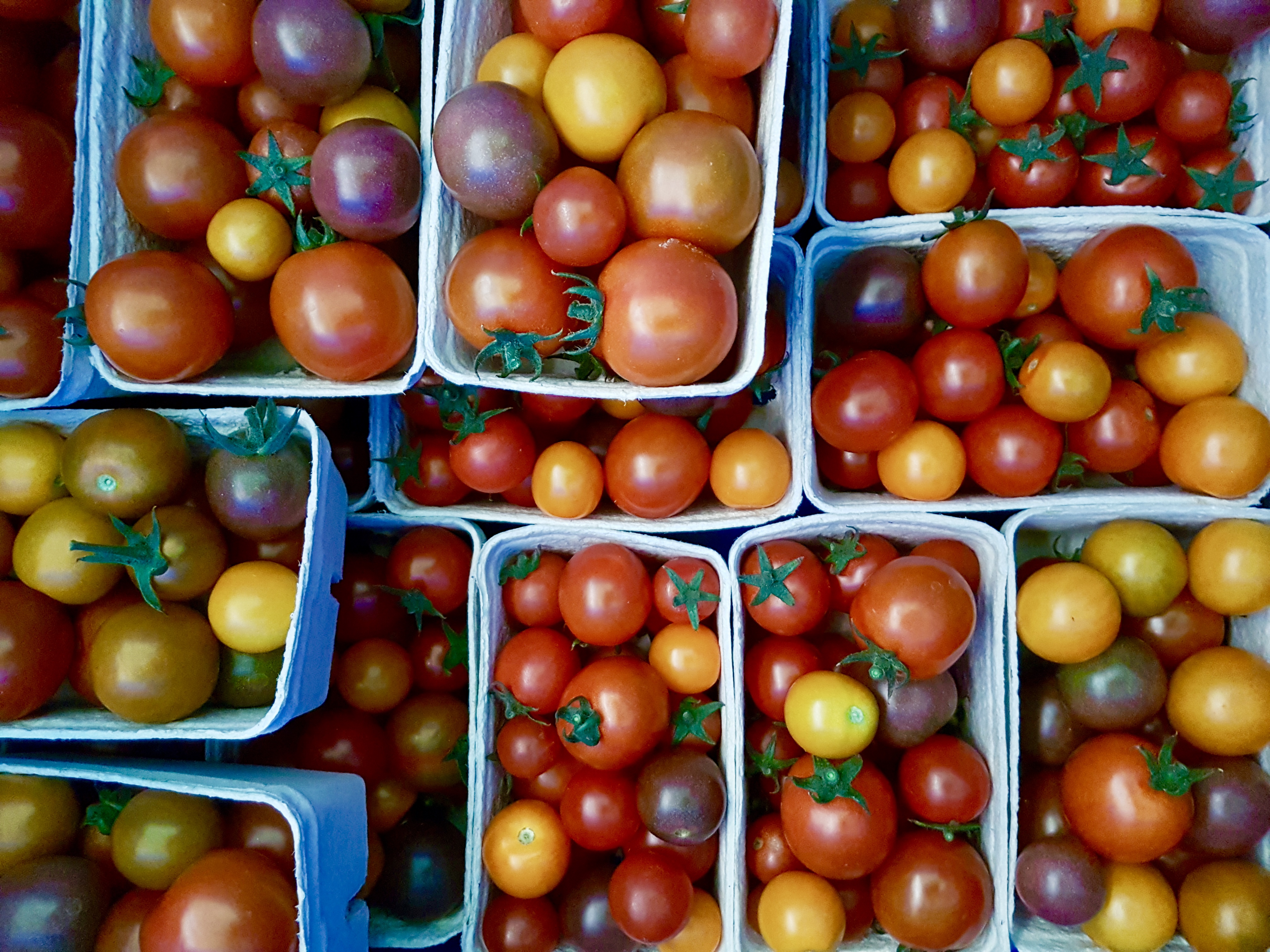 Händler - Neumarkt am Wallersee - Bunte Cocktailtomaten - Lielonhof