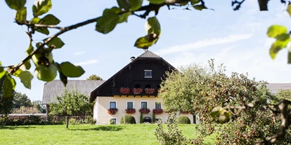 Händler - Salzburg-Stadt (Salzburg) - Mattigtaler Käse GmbH