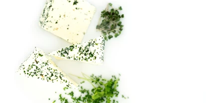 Händler - Salzburg-Stadt (Salzburg) - Mattigtaler Käse GmbH