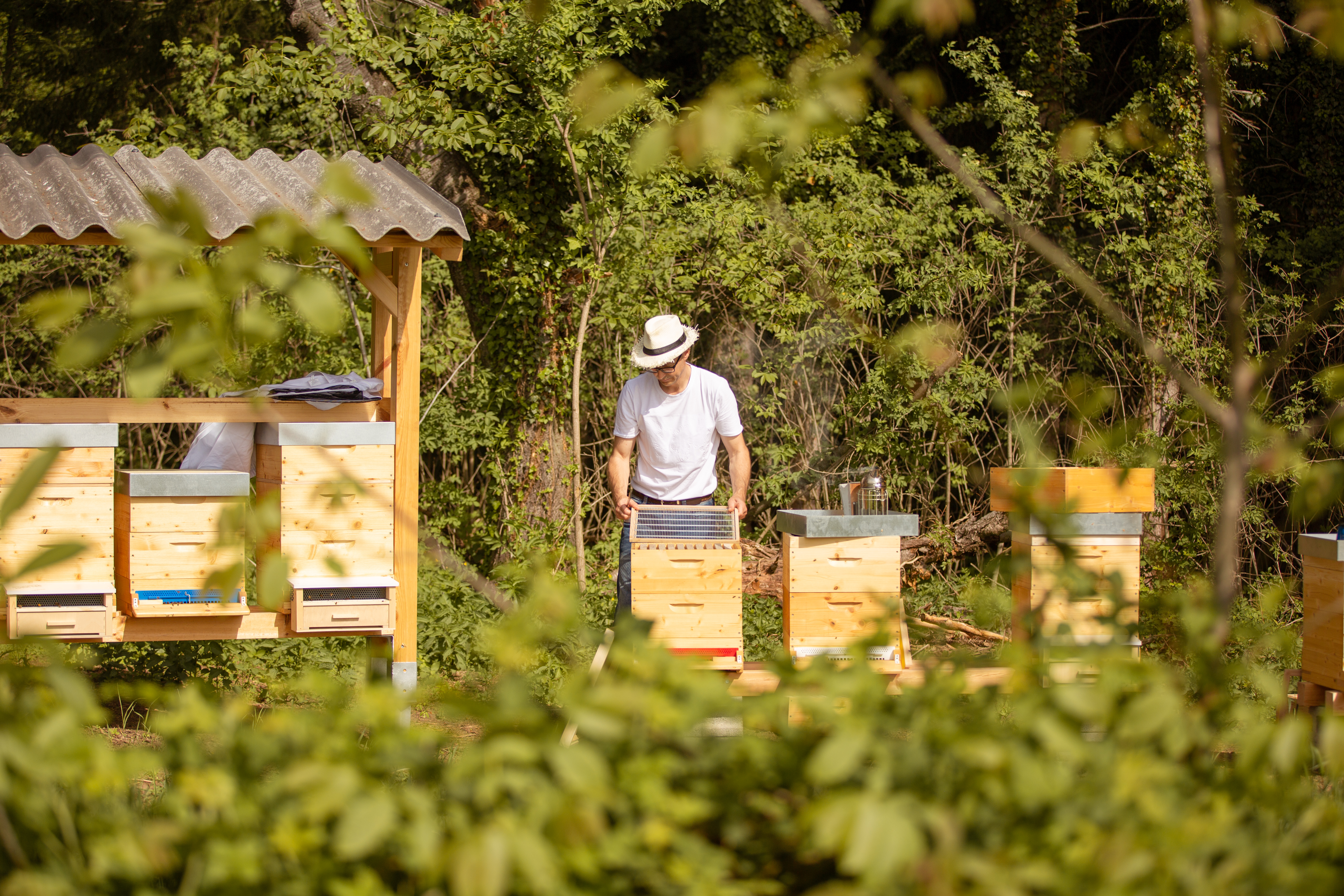 Direktvermarkter: Bio-Imkerei BienenFink