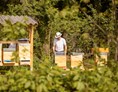 Direktvermarkter: Bio-Imkerei BienenFink