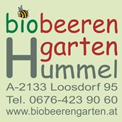 Unternehmen - Biobeerengarten Hummel - Biobeerengarten Hummel